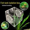 Acrylic Fish Tank Fry and Breeding Isolation Box for Guppies