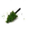 50pcs Trees Model DIY Green High Quality Landscape Scale