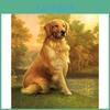 Diy Embroidery Diamond 5d Labrador Dog Diamond Painting Diamond Mosaic Animal Pet Cross Stitch