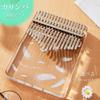 S.T.S.G Kalimba Thumb Piano Finger Piano Beginner Set 10 Keys with Manual and Storage Case Gift