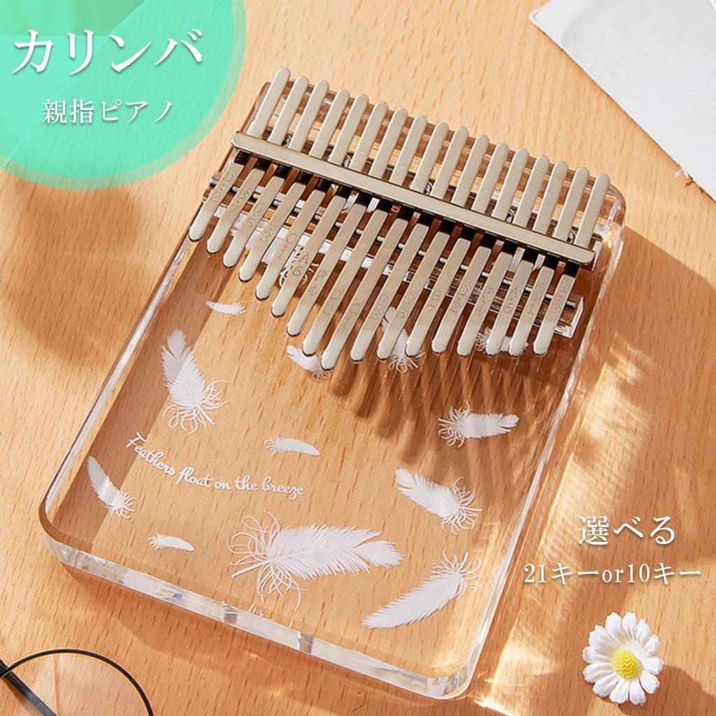 S.T.S.G Kalimba Thumb Piano Finger Piano Beginner Set 10 Keys with Manual and Storage Case Gift