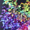 Resin Filling Sequins Jewelry Epoxy Craft DIY Resin Mold Manicure Decorations