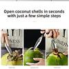 Stainless steel coconut openers coconut openers coconut cones coconut green perforated coconut openers coconut openers tools