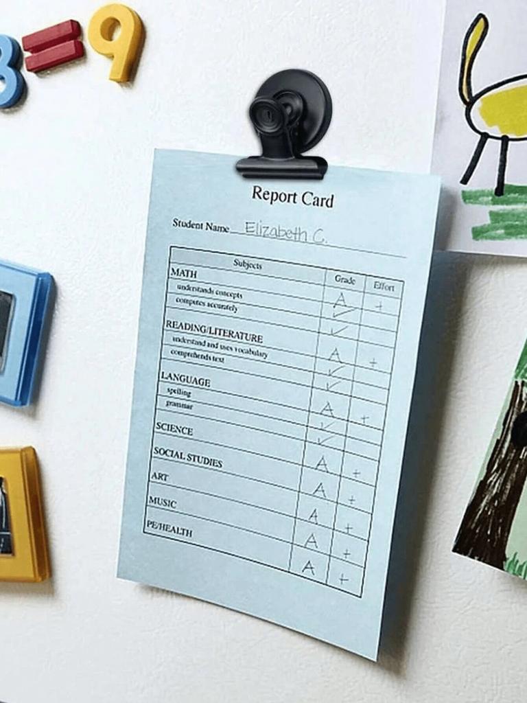 Magnetic Clips for Refrigerator, Fridge Magnets, Scratch Free, Heavy Duty Magnetic Clips, Perfect for Note List, Photo Displays