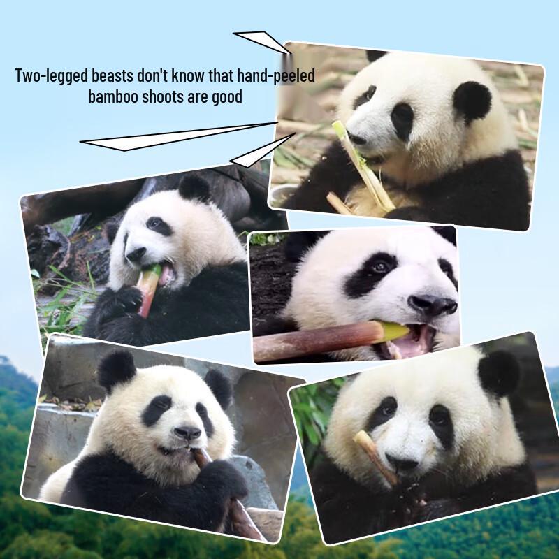 Taoziyuan Instant Hand-Peeled Bamboo Shoots