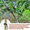 10 PCS Rubber Hooks Branch Bender Metal Tree Branch Spreader Tree Shaping Limb Spreader  Fruit Trees