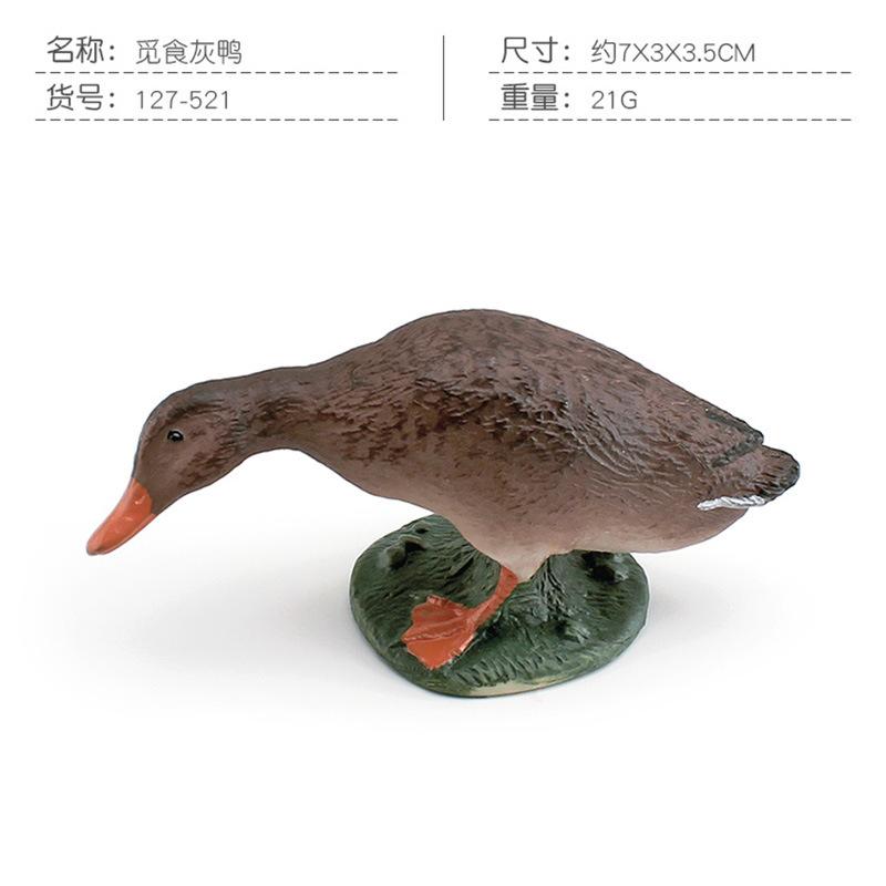 Simulation Poultry Farm Animal Model Mallard Duck Black White Swan Grey Duck Rooster Ornament Toy