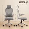 Office Chair Ergonomic Desk Chair with Flip-Up Armrests, Adjustable Lumbar Support Gray