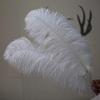 White Ostrich Feathers 15-80cm for Lighting, Wedding Aisle Decor, Photo Props, and Vase Ornaments