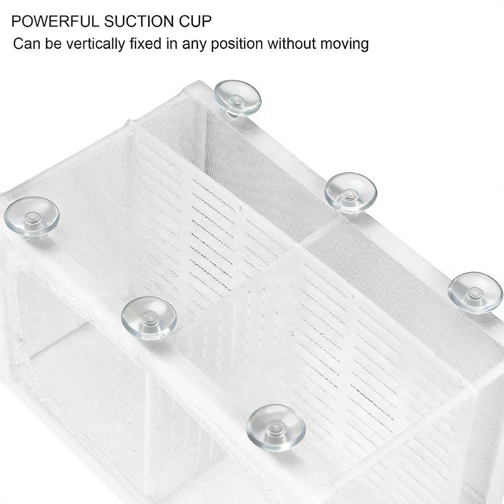 With Suction Cup Aquarium Fish Breeder Box With Partition White 3 Rooms Breeder Hatchery Large Size Nylon Mesh Isolation Box