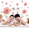 AY889 PVC Transparent Film Removable Wall Sticker