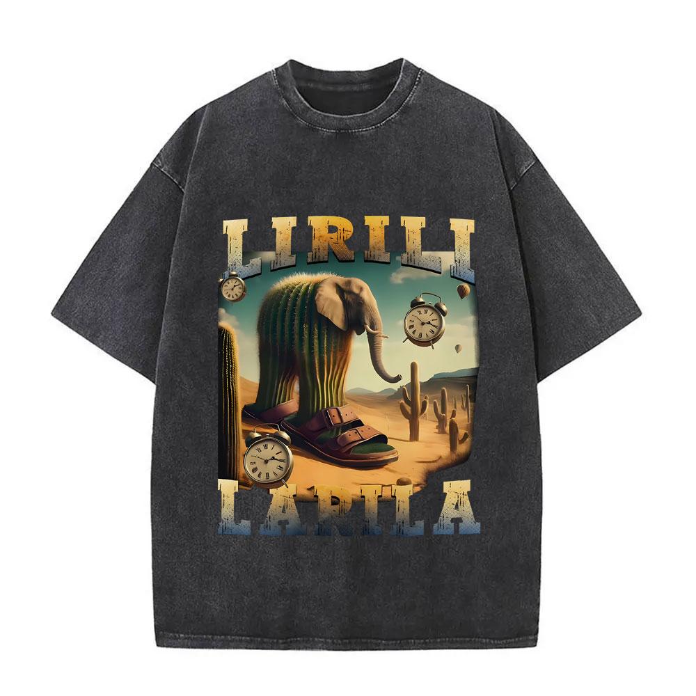 Lirili Larila Vintage Washed T-shirt Funny Ltalian Brainrot Cactus Elephant with Sandals Meme Tshirt Men Women Fashion T Shirts S