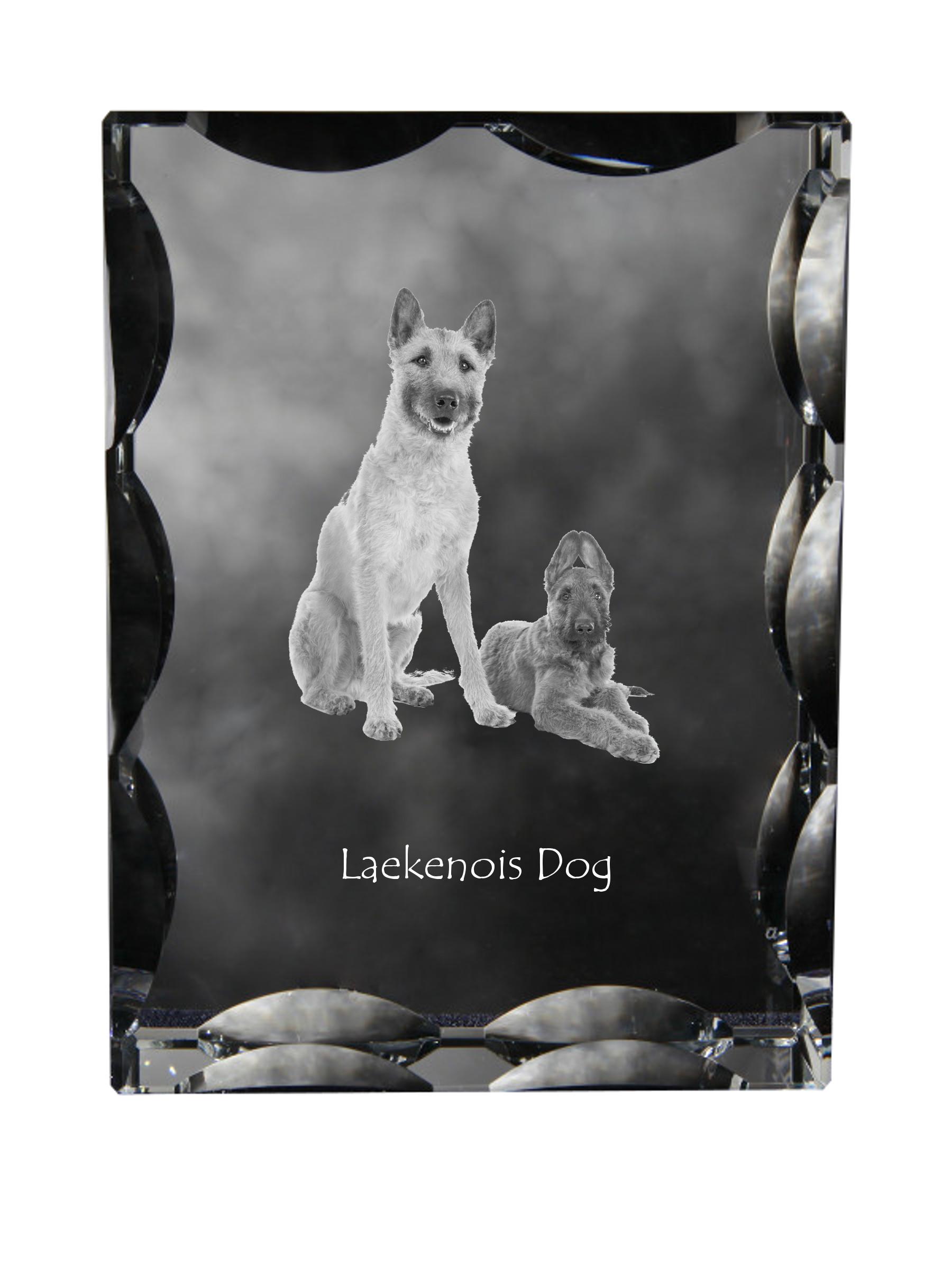 

Laekenois Belgian Shepherd Dog - crystal with a picture of a dog, glass statuette with a picture, unique frame with a picture from Art-Dog brand прозорий