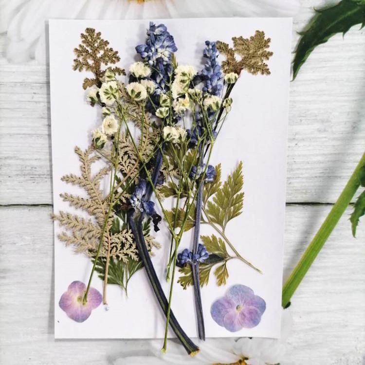 Pressed Dried Flower DIY Kit: Bookmark, Resin, & Phone Case Embossing Materials
