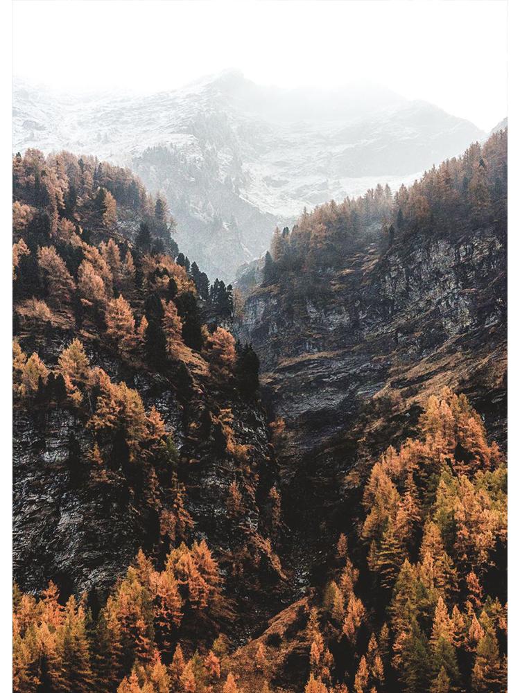 Nordisk Natur Landskap Grønn Skogsvei Fjellsjø Plakat Lerretsmaleri Veggkunst For Moderne Stue Hjem Dekorasjon