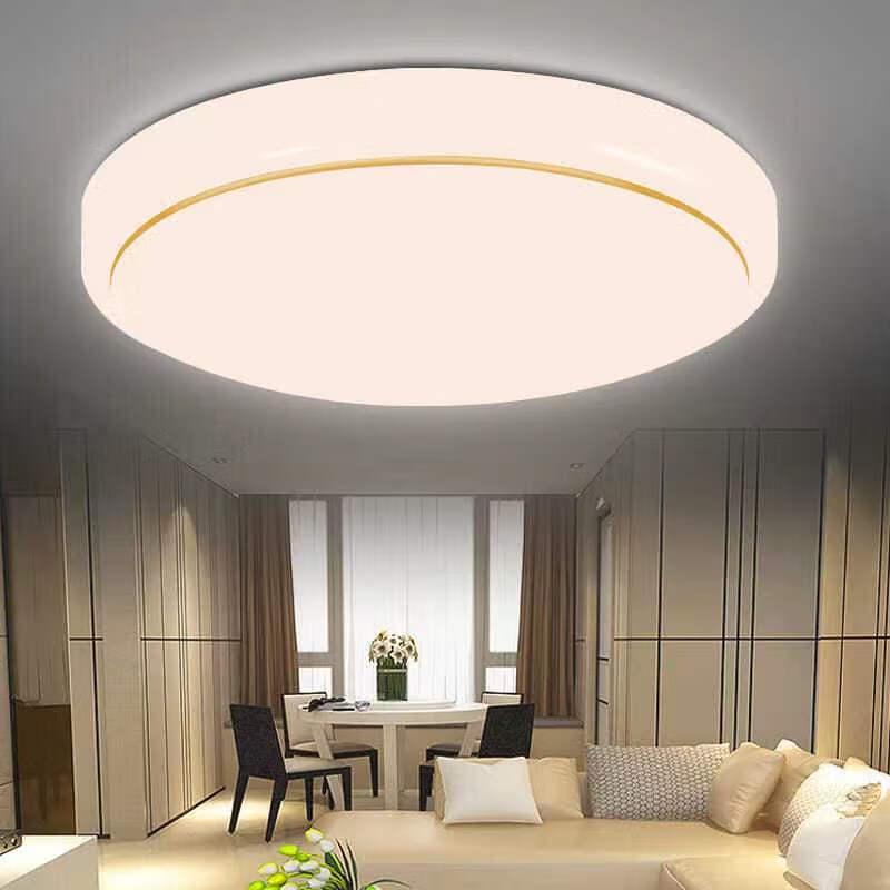 Liangtu Modern Minimalist Round LED Ceiling Light
