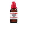 @ Dr Willmar Onosmodium Virginianum 200 CH Homeopathic Medicine 30ML Zr-2712-60%Off