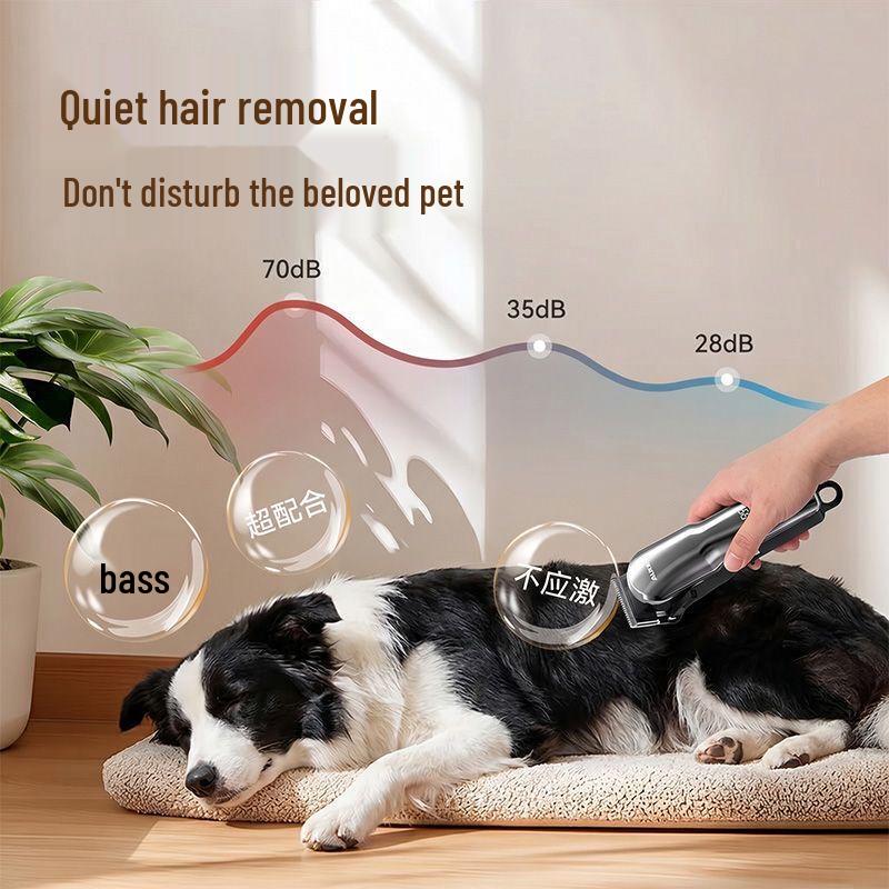 AUX Rechargeable Pet Grooming Clipper CN plug (adapter included)