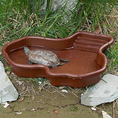 Schildpadwaterbak met antislipladder, badplatform, afvoergat, schildpad, reptielenbadkuip, habitat, landschapsarchitectuur, waterhouder, schaal, schaal