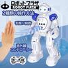 ROBOT PLAZA Humanoid Robot Toy, Walks, Speaks English, Kids' Toy, Boys' Birthday Gift, Educational Toy, Rechargeable, Japanese Instruction Manual