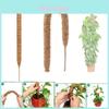 Estilo Minimalista Moderno Estaca para Plantas Trepadeiras com Design Flexível de Casca de Coco