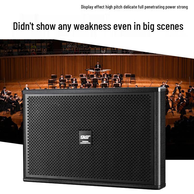 Xianke W12-1 12-inch Professional Passive Wall Speaker