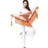Sexy Sequins Tassels Dancer Skirt Hip Scarf Waist Chain Belly Dance Belt