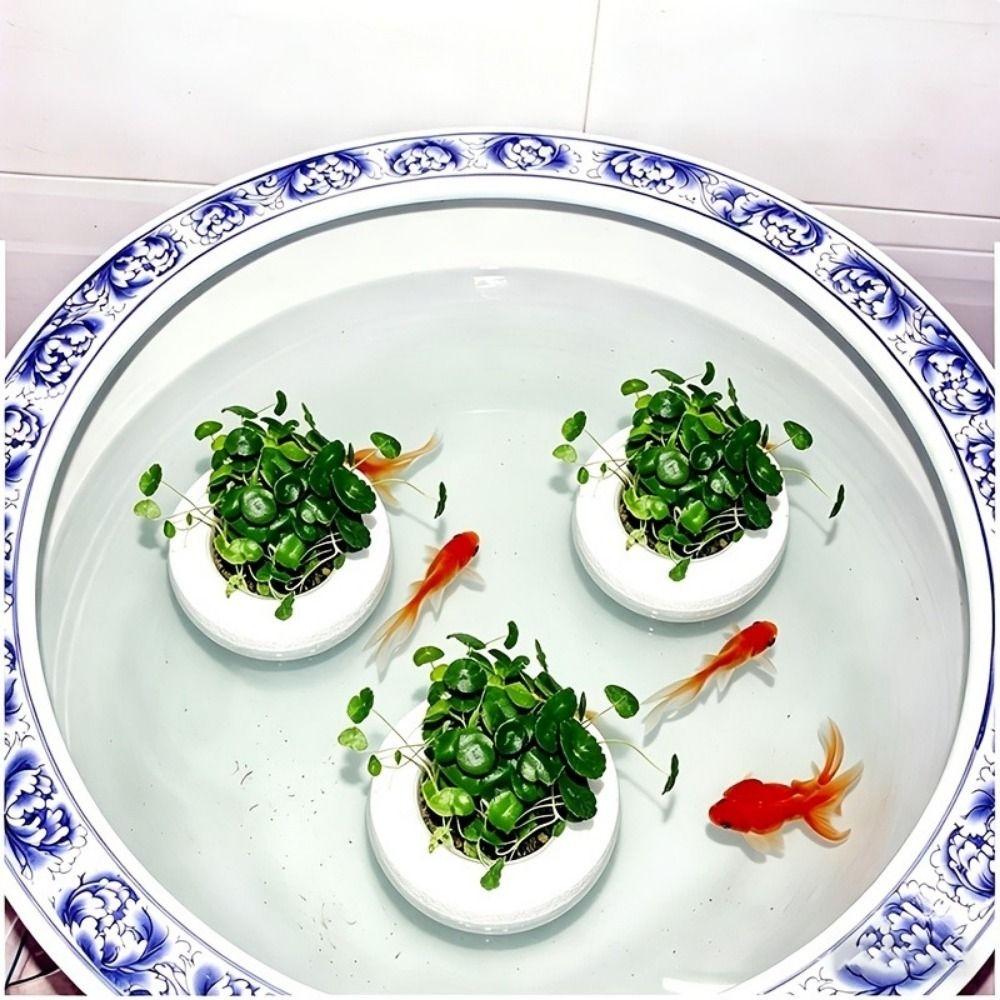 Round Floating Aquatic Plant Basket Plastic Hydroponic Plant Holder Aquatic Environment