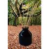 Pure Source India Keramik Schilf Diffusor Topf (3,5 Zoll, Schwarz)