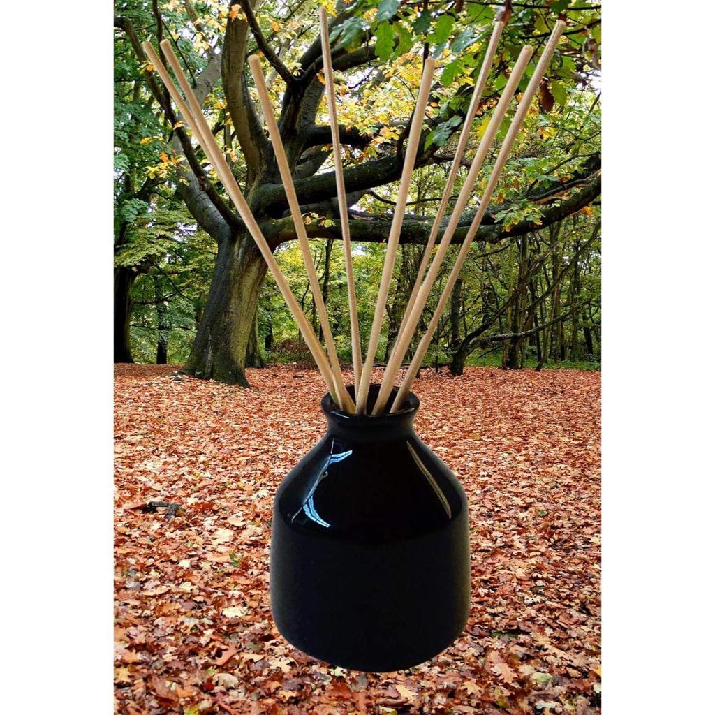 Pure Source India Keramik Schilf Diffusor Topf (3,5 Zoll, Schwarz)