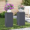 Plant Stand 2 Pcs Anthracite 24 X 24 X 55 Cm Steel