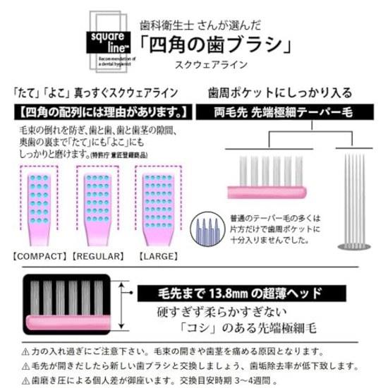 Toothbrush selected dental hygienists square shape Line cap made Japan set 6 4 rows 24 holes (REGULAR)
