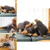 Adorable Plush Duck-billed Platypus Stuffed Animal Toy For Girls Soft Cuddly Gift