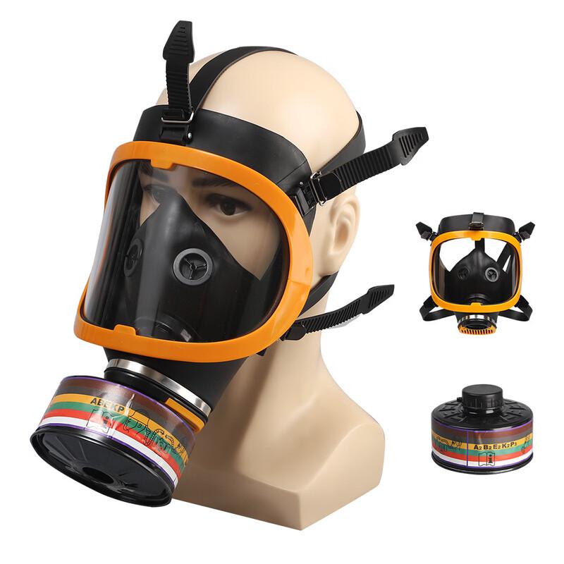 DAXTE Full-Face Respirator Mask