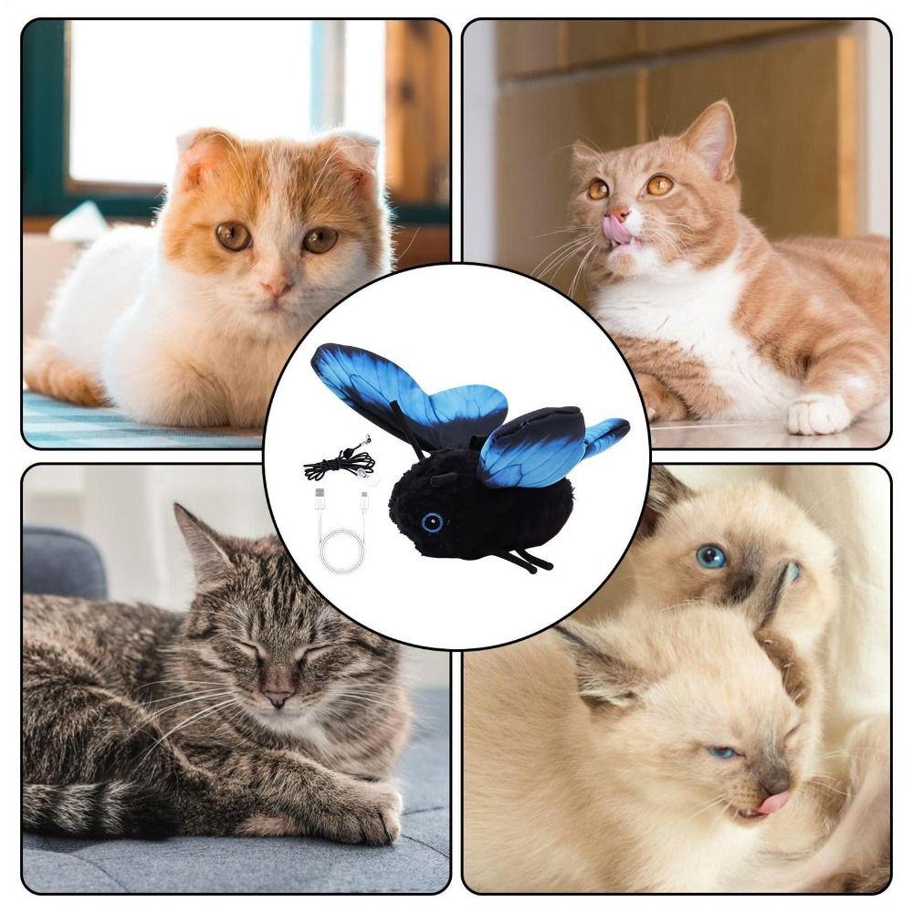 Multiple Modes Butterfly Cat Teaser Hanging Elastic String Feline Toy Kittens