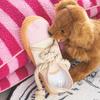 [Pet] Shoe-Shaped Plush Toy Pink