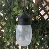 Fruit Fly Trap with Lure Solution - Specialized Insect Killer, Effective Against Flying Pests, Free Nationwide Shipping