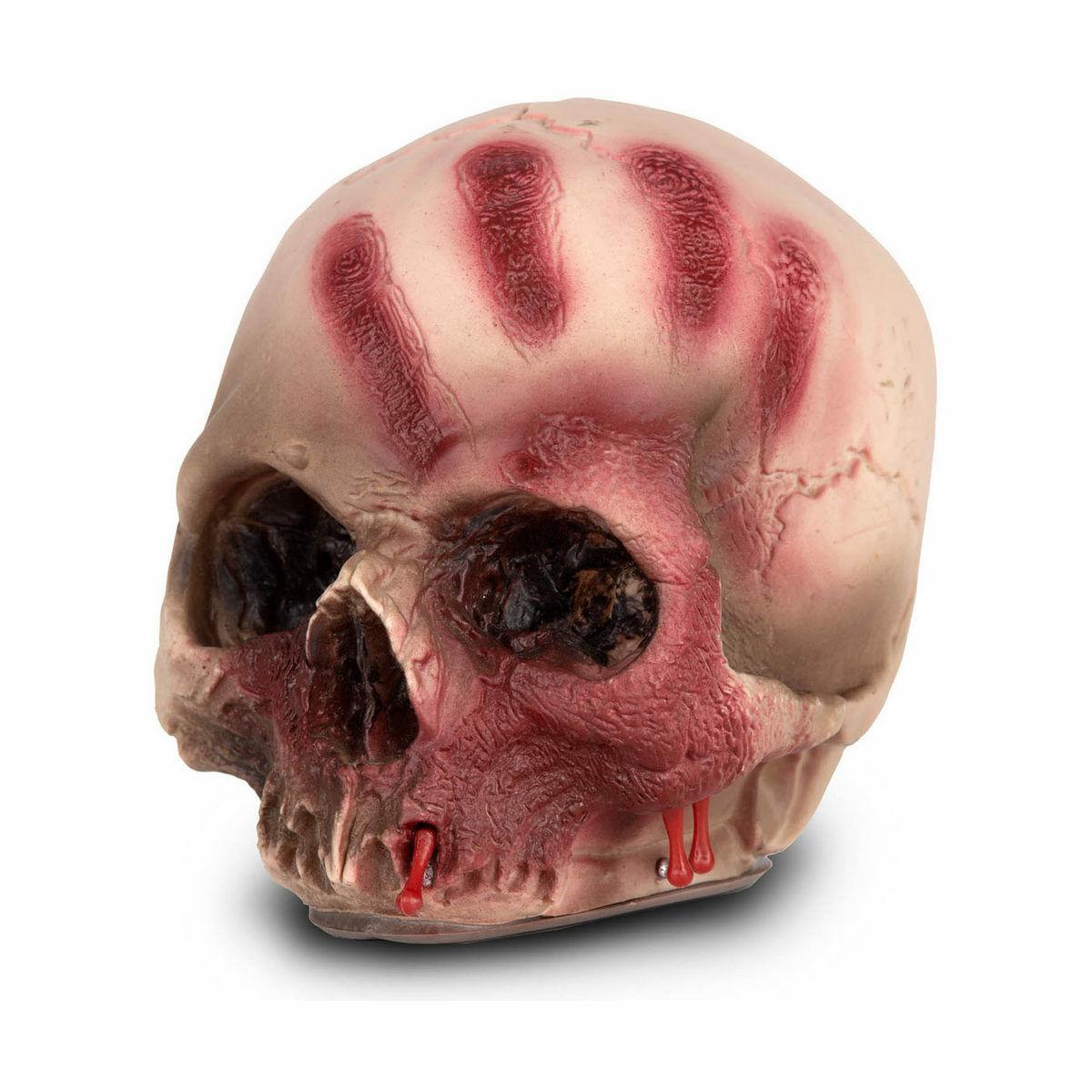 

Череп Моя Другая Я 12 х 15 х 15 см