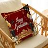 Graduation Decorations Personalized Pillow Cover Kids Bedroom Wild Party Decor Pillowcase Kid Birthday Shower Gift