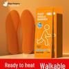 Peiqi Kangaroo Self-Heating Warm Insoles