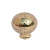 Brass Globe Wooden Walking Sticks Holding Handmade