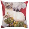 Cute Kitten Pillowcase Funny Cat Painting Throw  for Bed Sofa Living Room