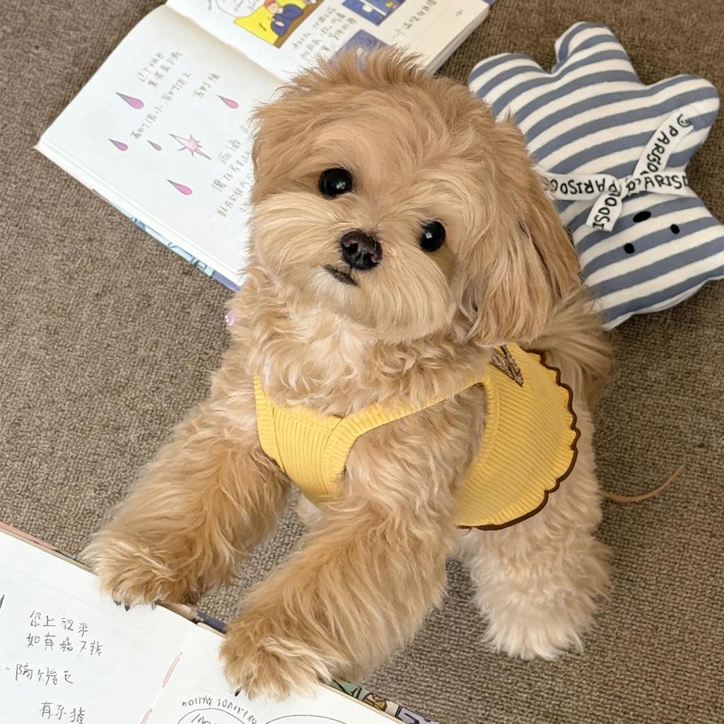 Summer Lightweight Dog Clothes Made of Ice Silk, Breathable, Suitable for Small Dogs, Halter-style, English Short Coat for Bichon Frise Dogs