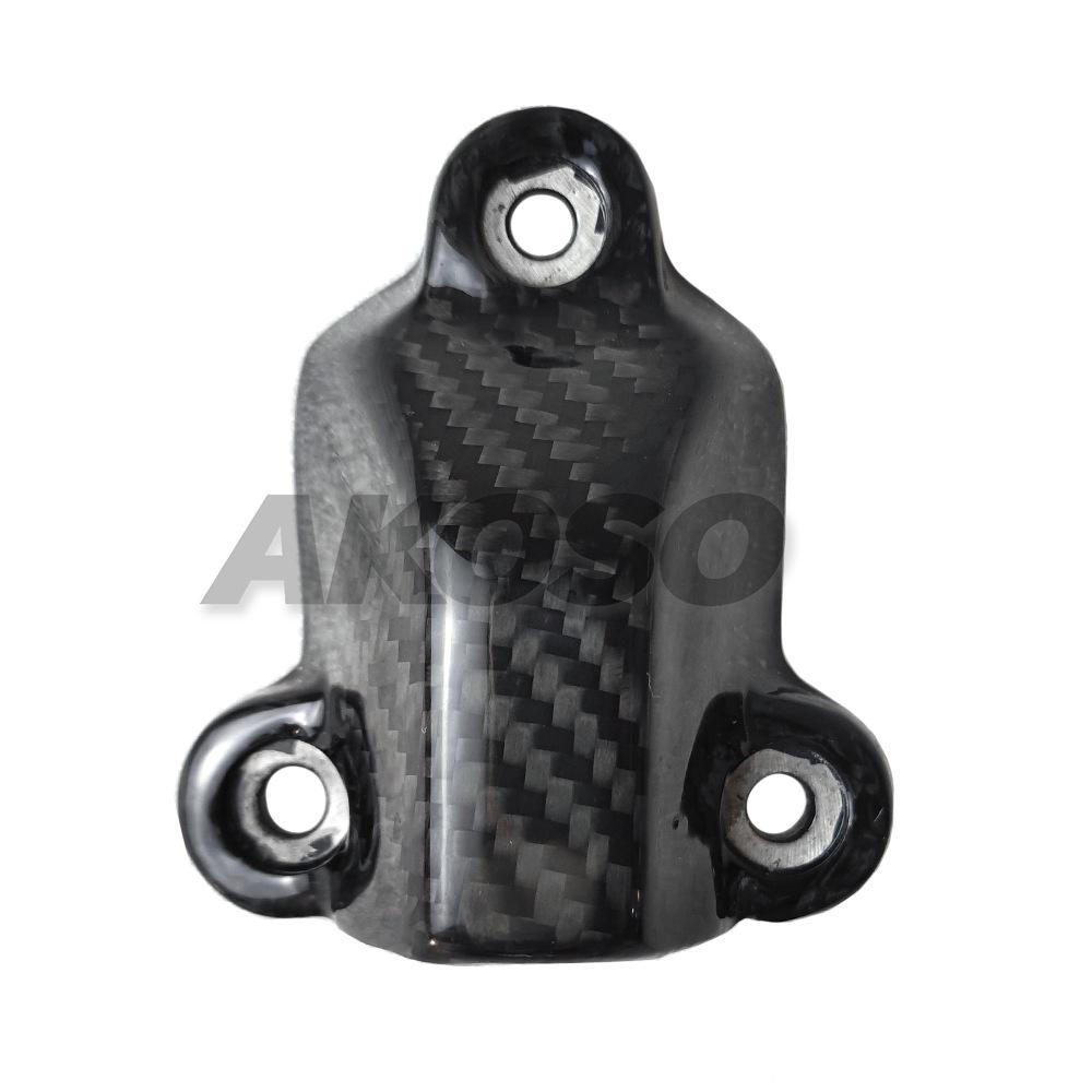 BMW S1000RR/S1000R/M1000RR Carbon Fiber Radiator Guard