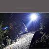 LED Multifunctional Flashlight - USB Rechargeable, Triple Light Source, Purple Identification, Aluminum Alloy, Night Fishing