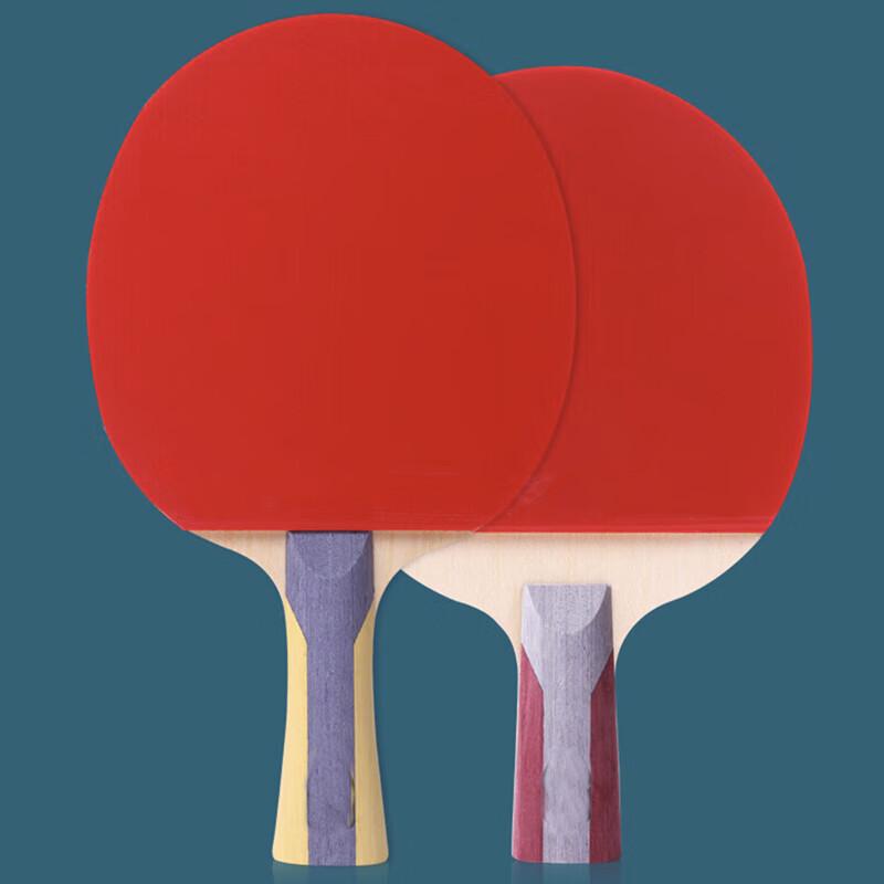 Fenzhanzhe 5-Star Professional Table Tennis Racket