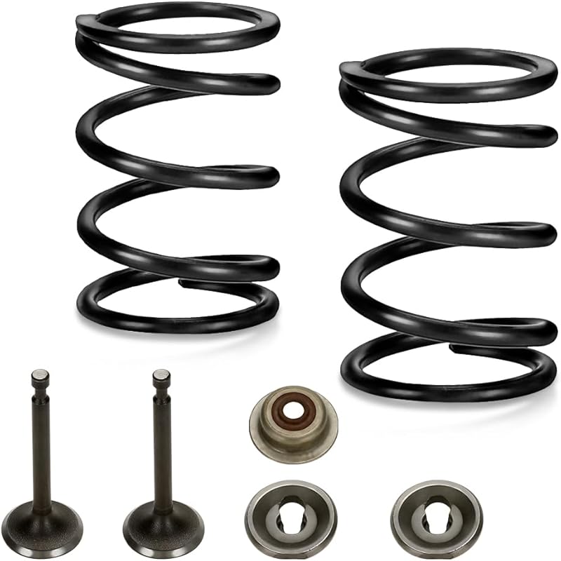 FVRITO Racing 18Lb Valve Springs Kit For Predator 196Cc 212Cc 224Cc Non Hemi GX160 GX200 6.5HP OHV Clone Engine Mini Bike CT200U BT200X Powerhorse