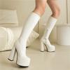 Women's High-heeled Boots, Sexy European and American Style Autumn and Winter New Waterproof Platform Thick Heel Large Size Medium Boots