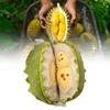Durian Removable Plush Toy Dolls Soft Room Decoration Ornament Gifts Children