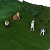 Simulation Moss Turf Lawn Green Plants Diy Artificial Garden Landscape Decor